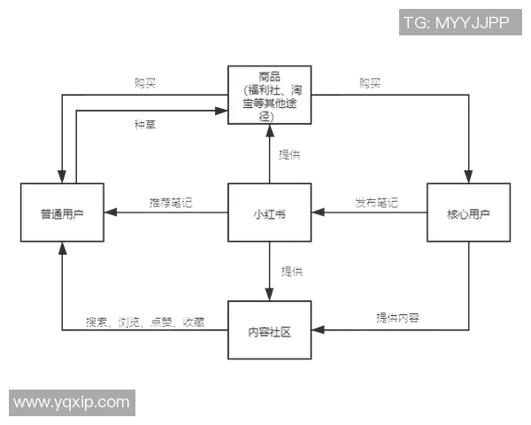LNG战队运营策略分析与成败经验总结探讨