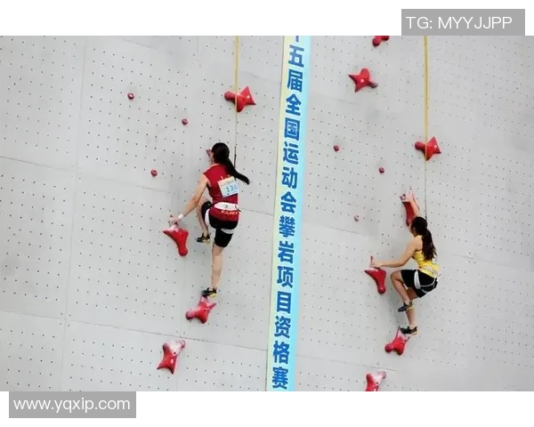 上海攀岩队耐力对比研究揭示训练方法与成绩之间的关系