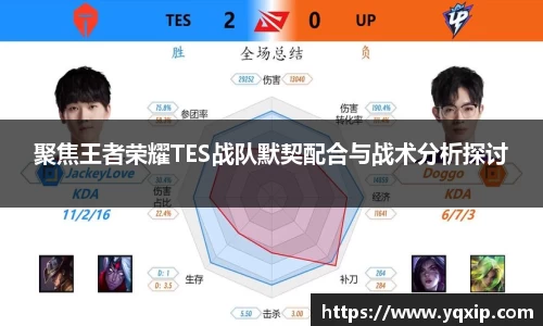 聚焦王者荣耀TES战队默契配合与战术分析探讨